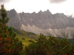 2013-09-08_6Falkenh-Steinfalk (088).JPG